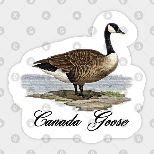 Canada Goose standing on an island Sticker by JnS Merch Store